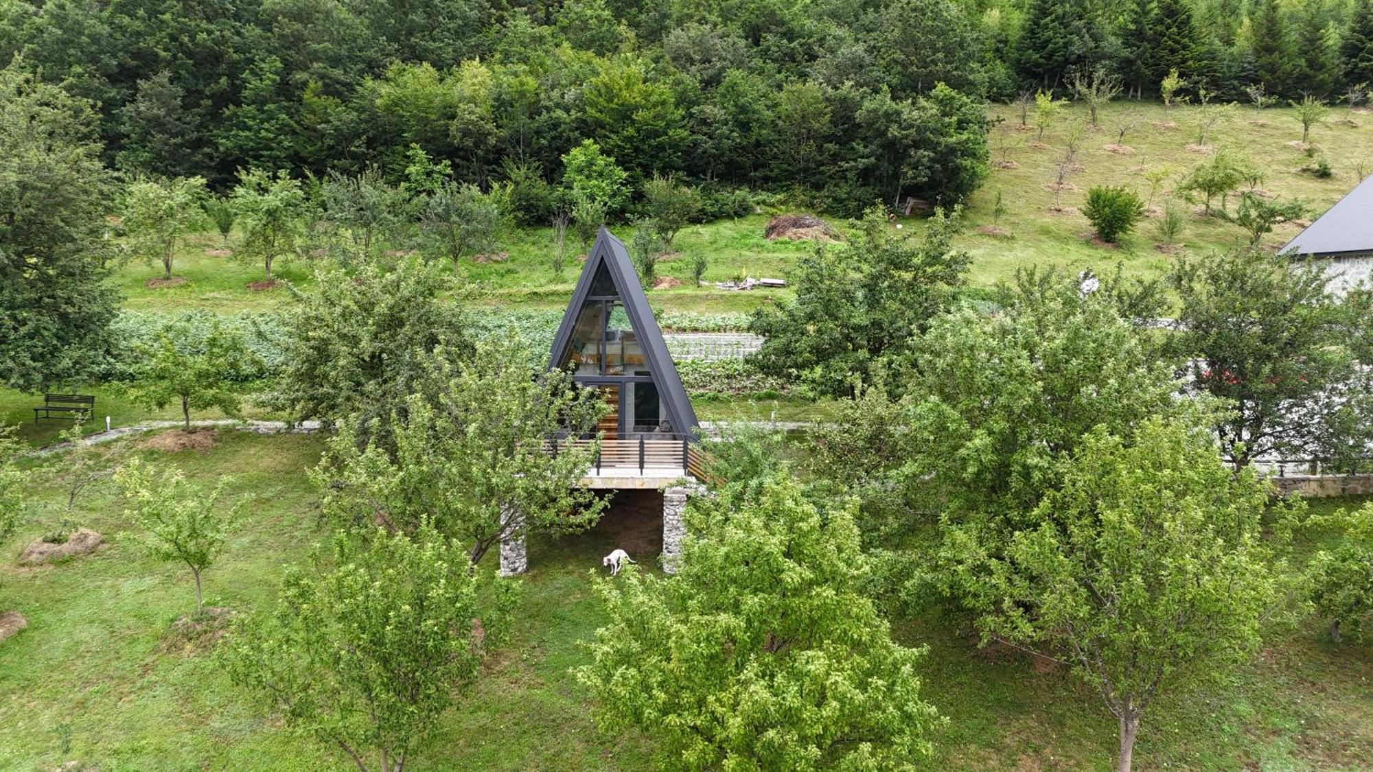 Fern Farm Tiny Home 莫伊科瓦茨 外观 照片