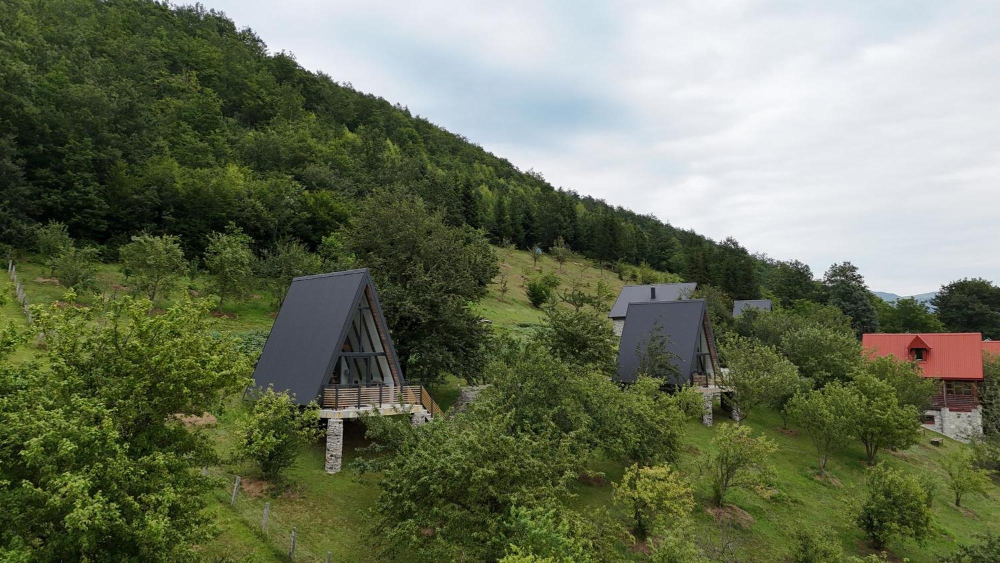 Fern Farm Tiny Home 莫伊科瓦茨 外观 照片