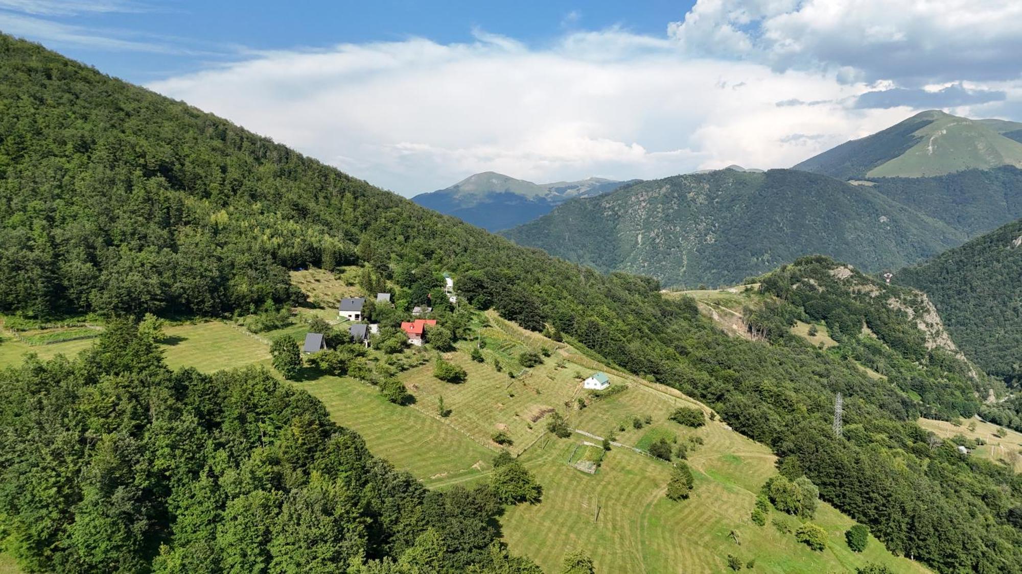 Fern Farm Tiny Home 莫伊科瓦茨 外观 照片