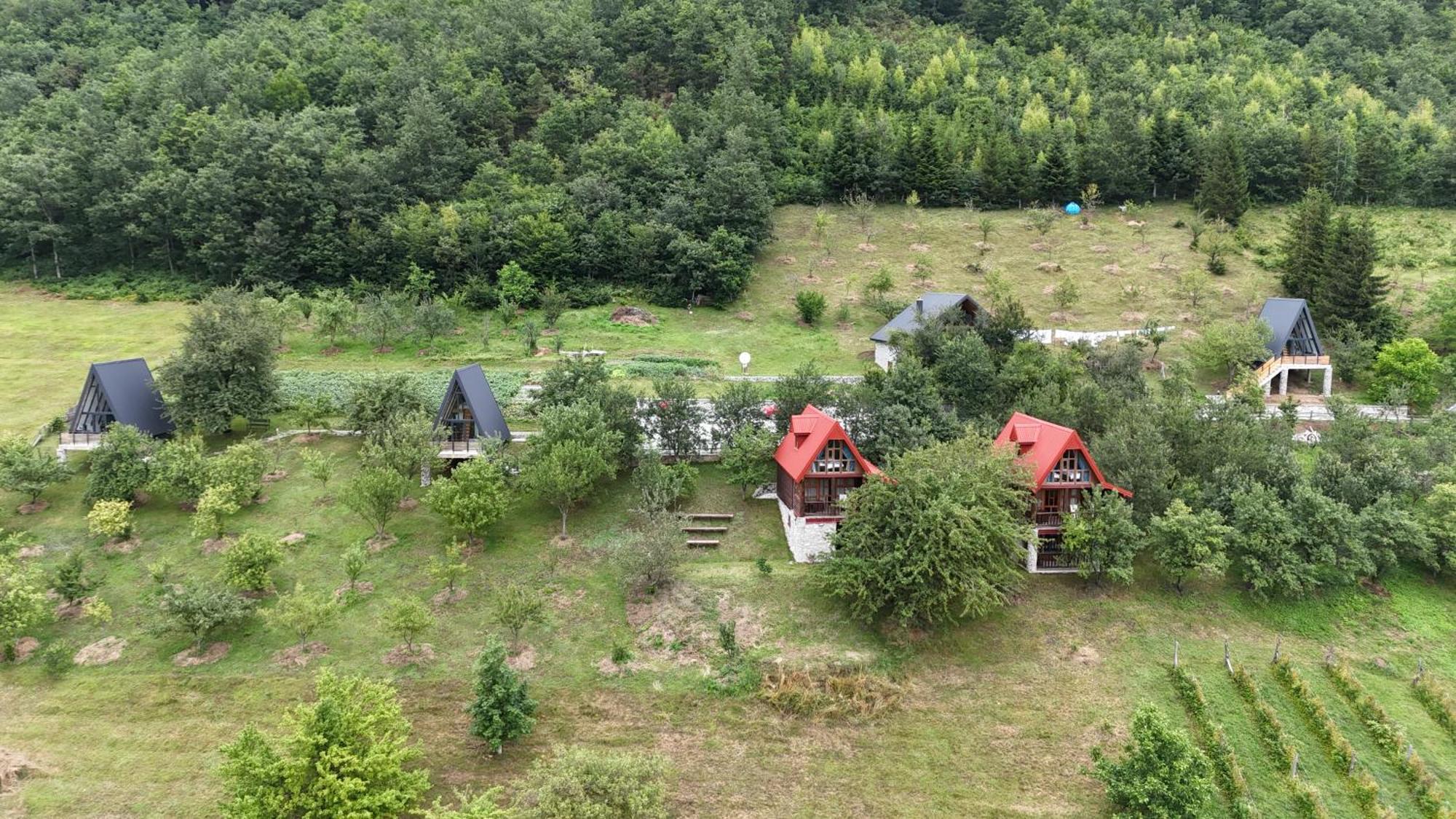 Fern Farm Tiny Home 莫伊科瓦茨 外观 照片