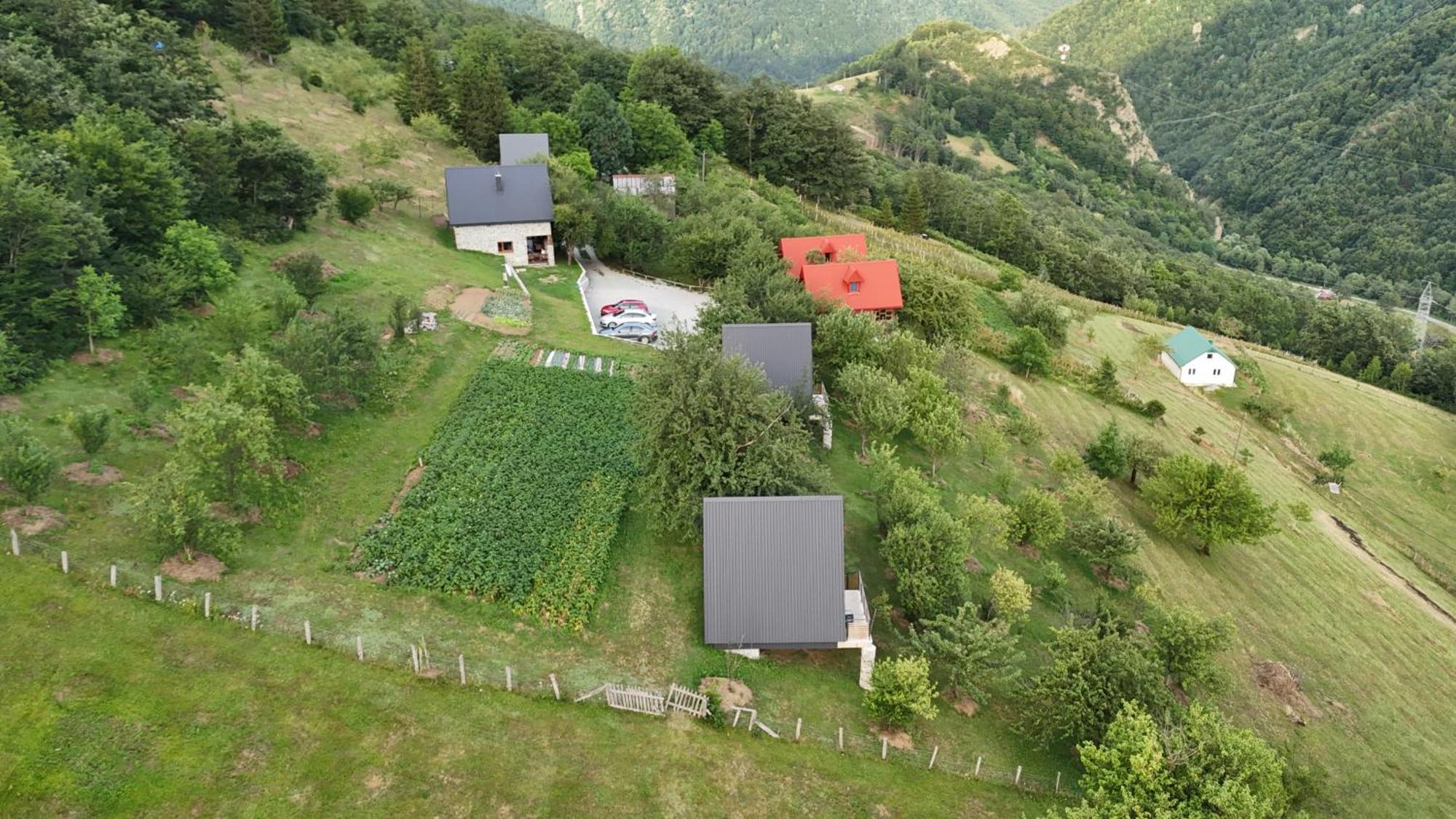 Fern Farm Tiny Home 莫伊科瓦茨 外观 照片